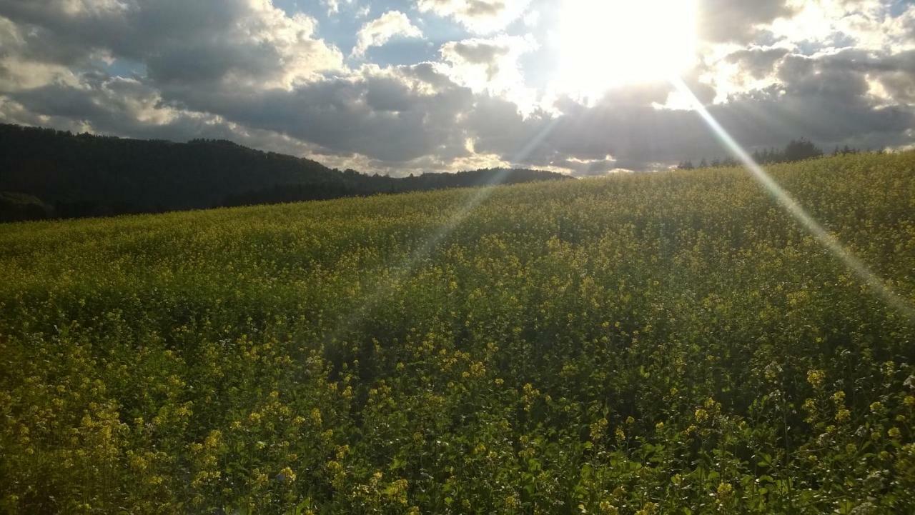 Blick In Die Suedeifel Biersdorf am See Exterior photo